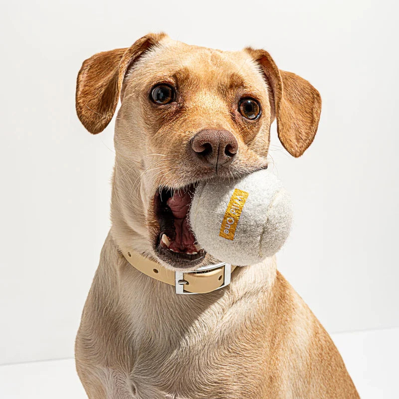 4 Tennis Balls - White