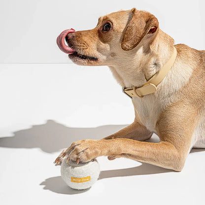 4 Tennis Balls - White