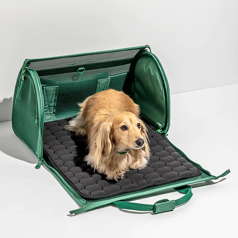 Travel Carrier - Spruce