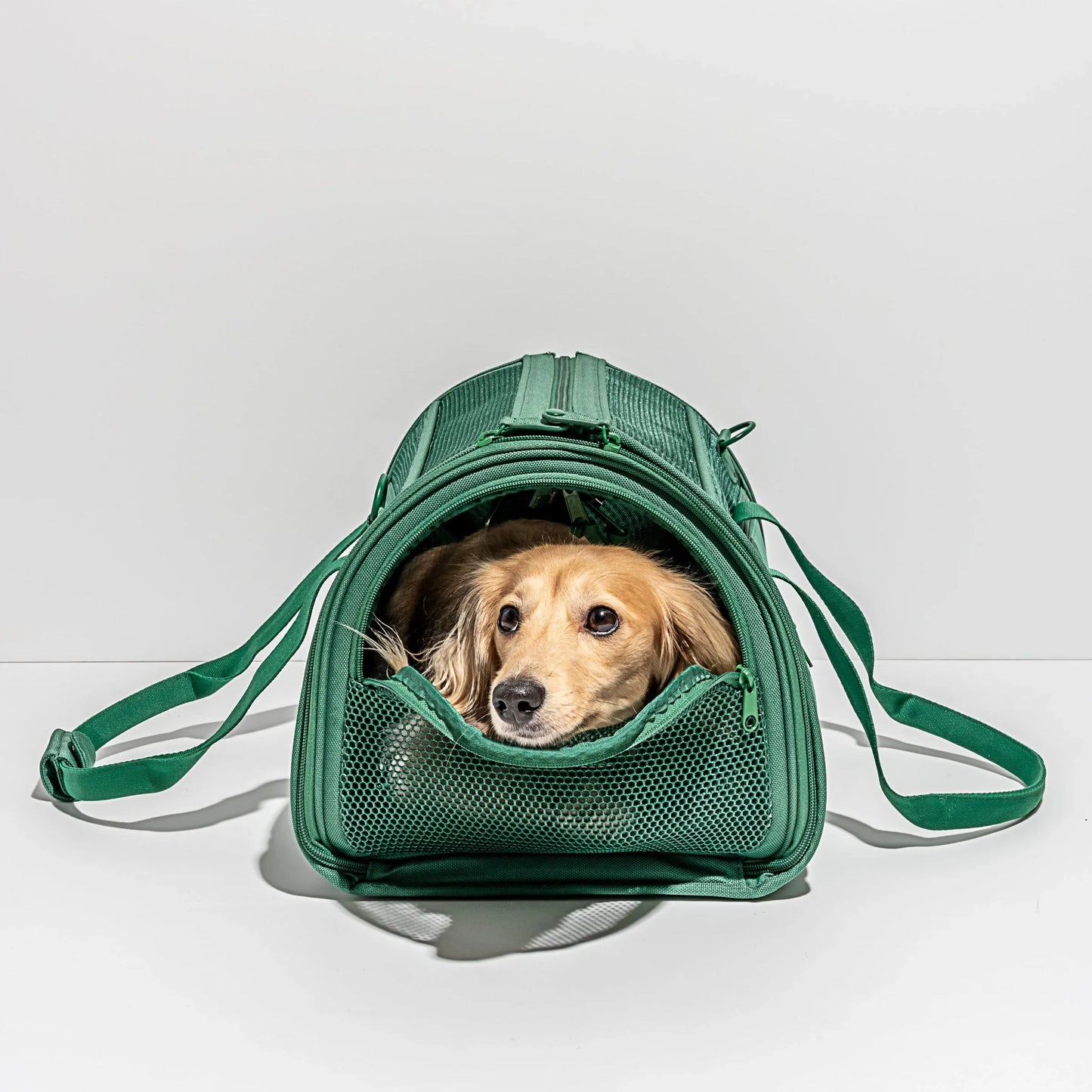 Travel Carrier - Spruce