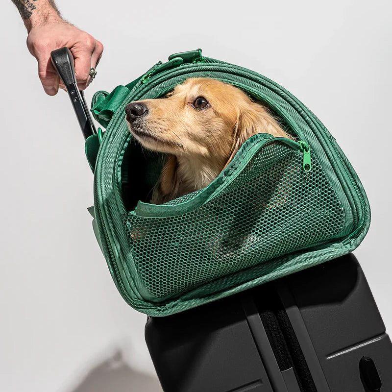 Travel Carrier - Spruce