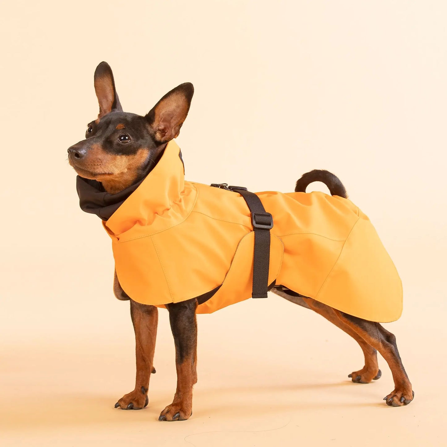 Recovery Raincoat - Orange