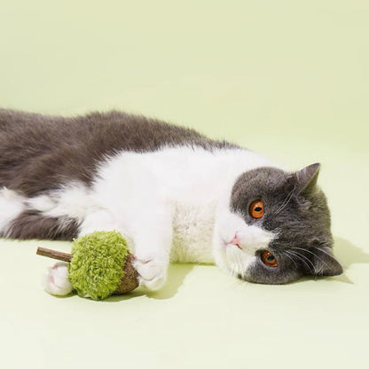 Acorn Plush Catnip Toys