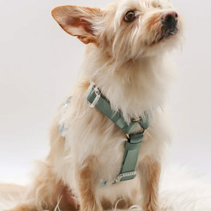 Dog Harness - Hunter Sky
