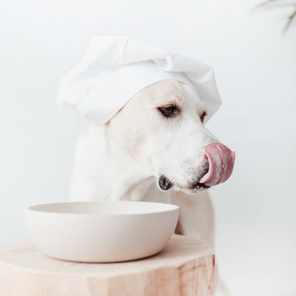 Bamboo Dog Bowl - Merengue