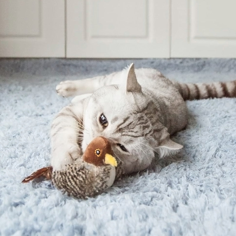 Chirping Bird Cat Toy