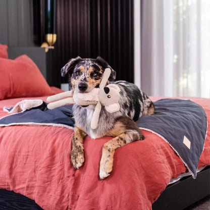 Reversible Blanket | Slate Gray