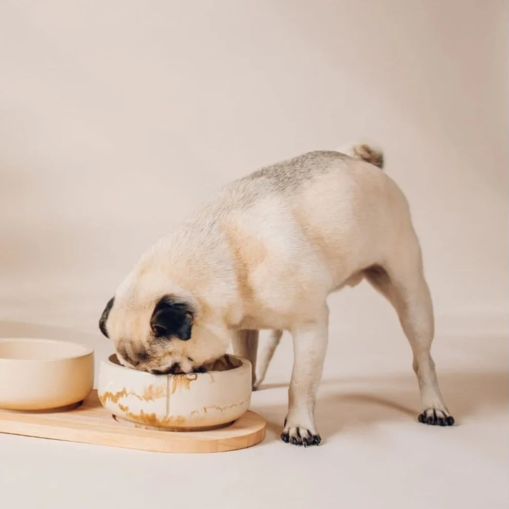 Classic Feeder Bowl - Camel Brown