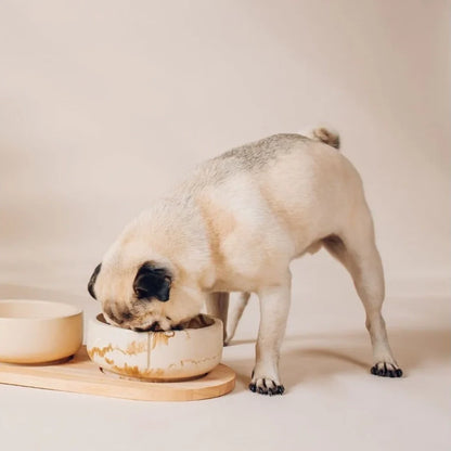 Classic Feeder Bowl - Camel Brown
