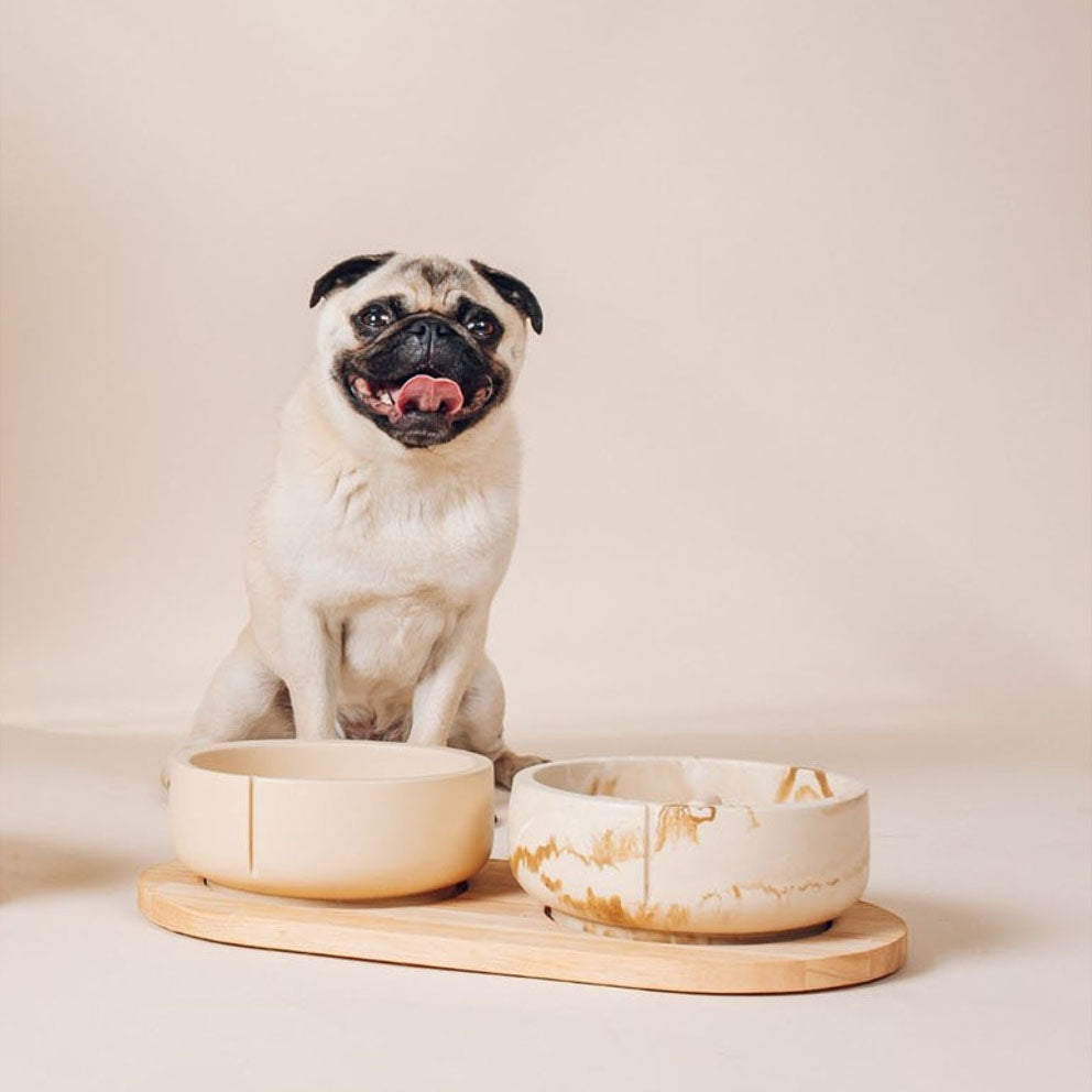 Classic Feeder Bowl - Camel Brown