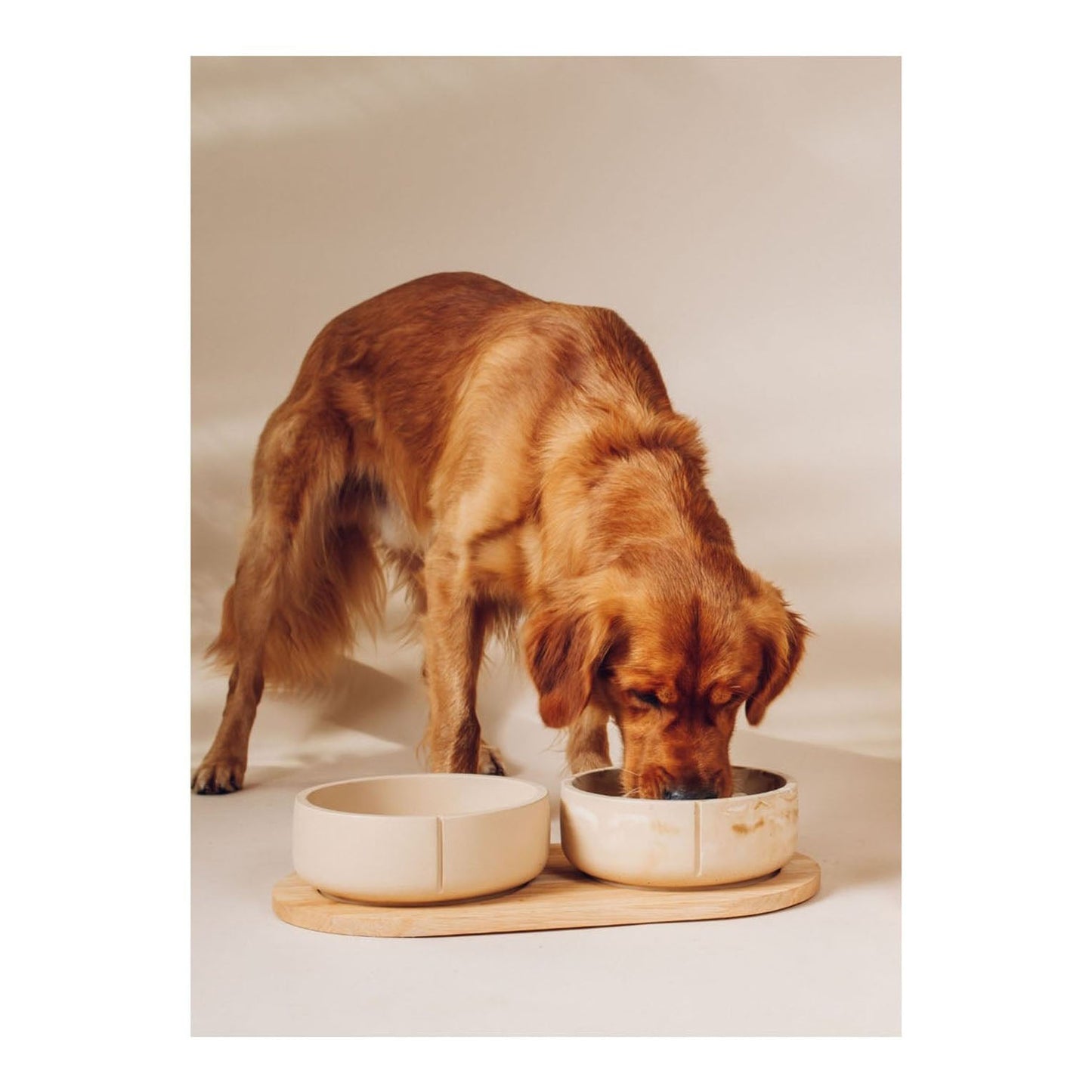 Classic Feeder Bowl - Camel Brown