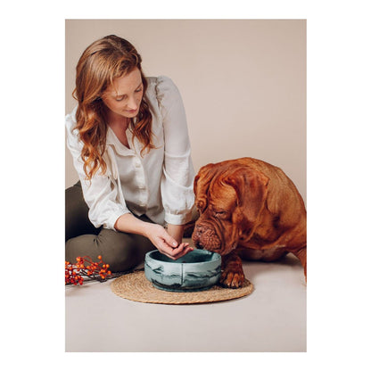 Classic Feeder Bowl - Duck Green Marble