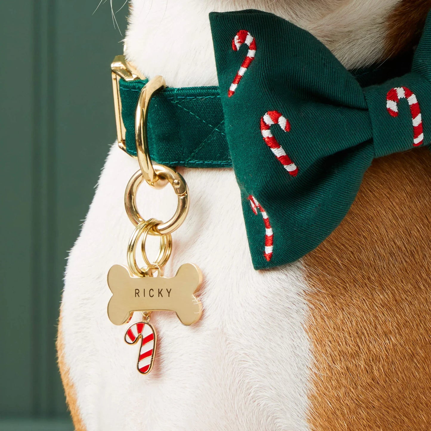 Candy Canes Embroidered Bow Tie Collar 1