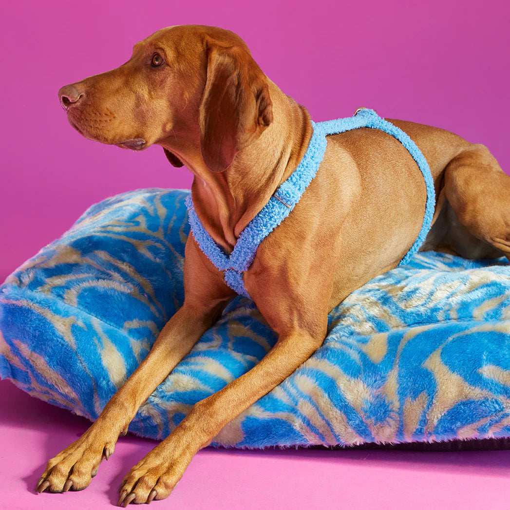 Swirl Fluffy Dog Bed - Blue/Beige