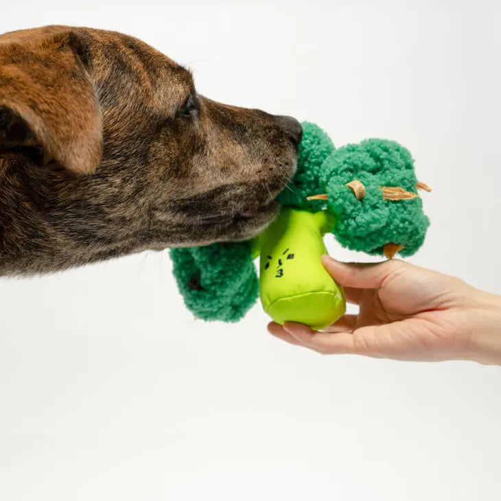 Broccoli Nosework Toy