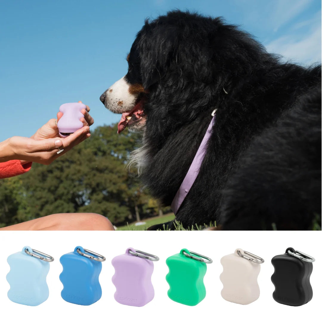 Silicone Dog Treat Dispenser - Springer Green