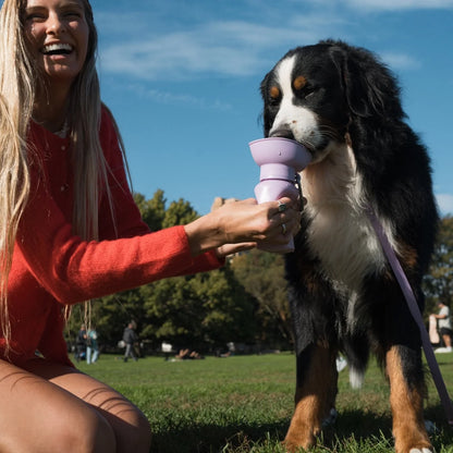 Flip Dog Travel Bottle - Lilac