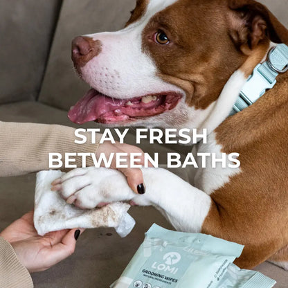 Bamboo Grooming Wipes | Travel Size (20 wipes)