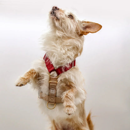 Dog Harness - Rosewood