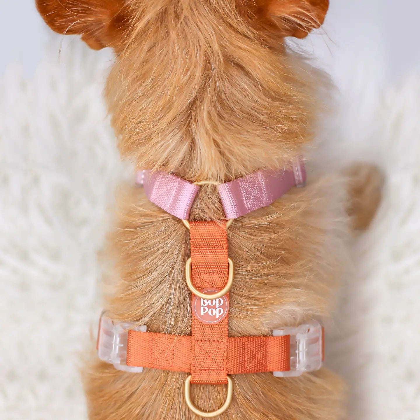 Dog Harness - Cloudberry
