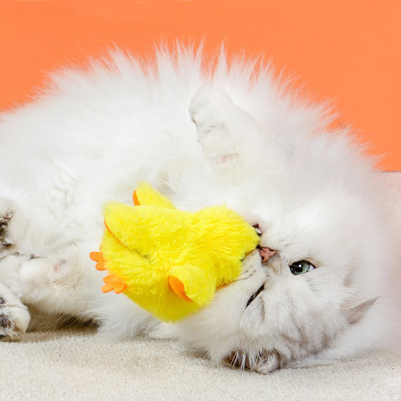 Flappy Duck Cat Toy
