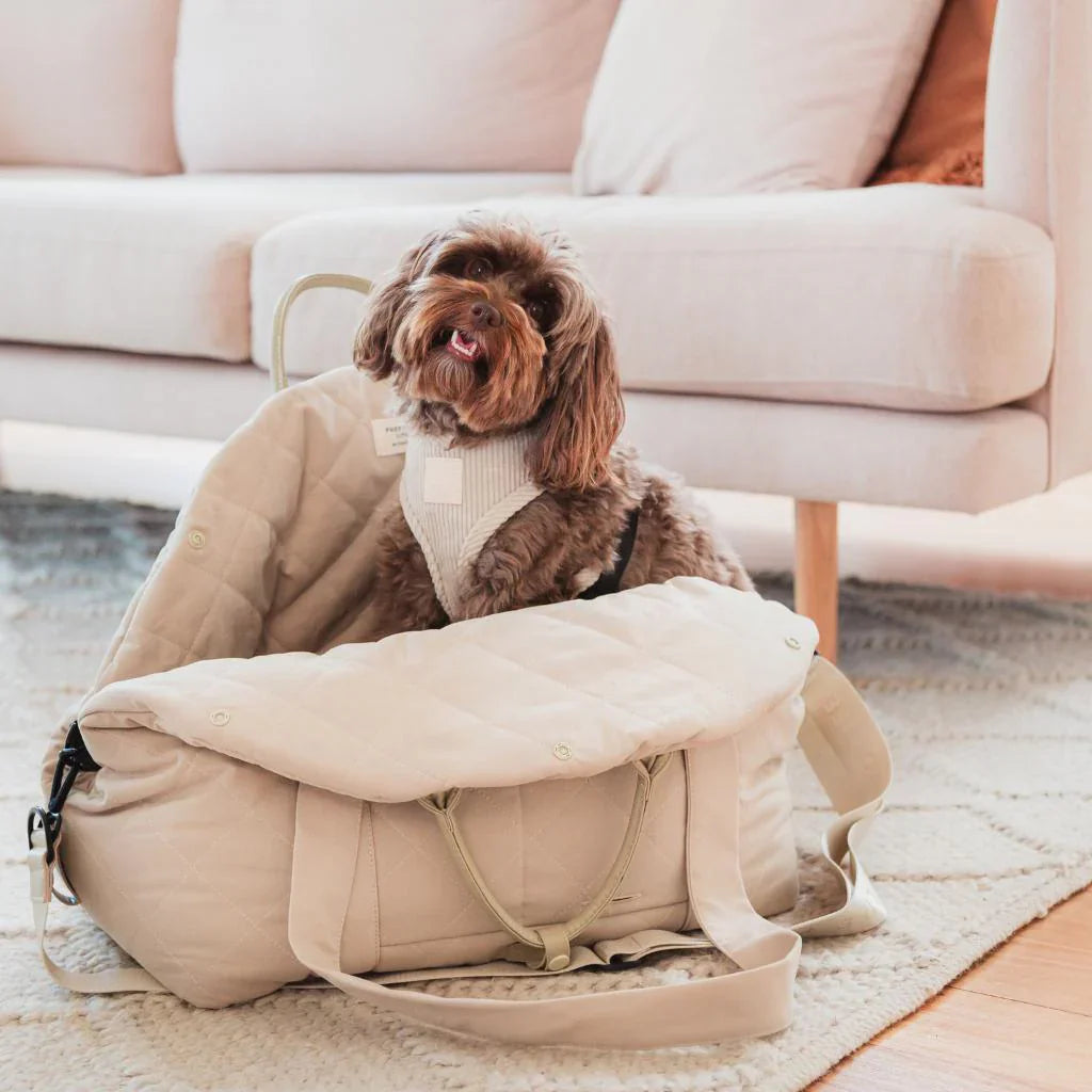 Multipurpose Carrier & Car Seat | Sandstone