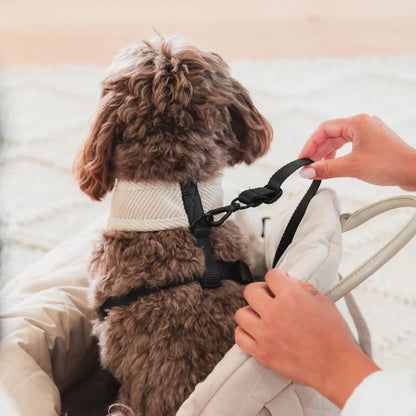 Multipurpose Carrier & Car Seat | Sandstone