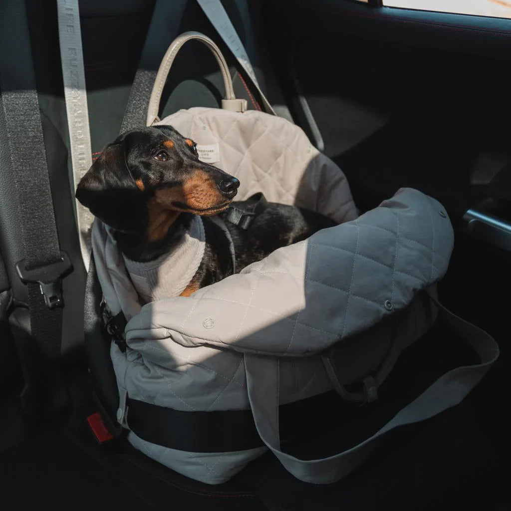 Multipurpose Carrier & Car Seat | Sandstone