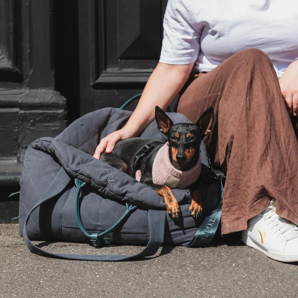Multipurpose Carrier & Car Seat | Slate Gray