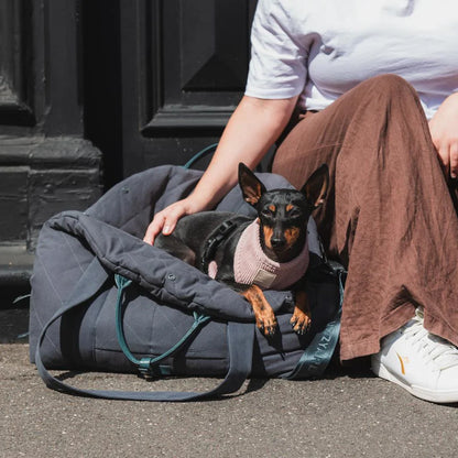 Multipurpose Carrier & Car Seat | Slate Gray
