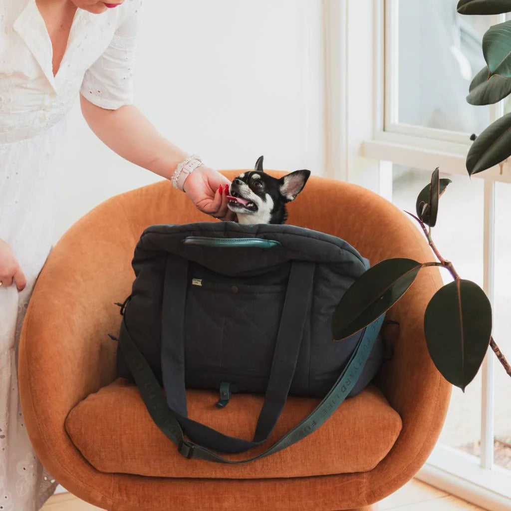 Multipurpose Carrier & Car Seat | Slate Gray