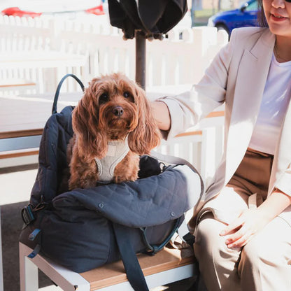 Multipurpose Carrier & Car Seat | Slate Gray