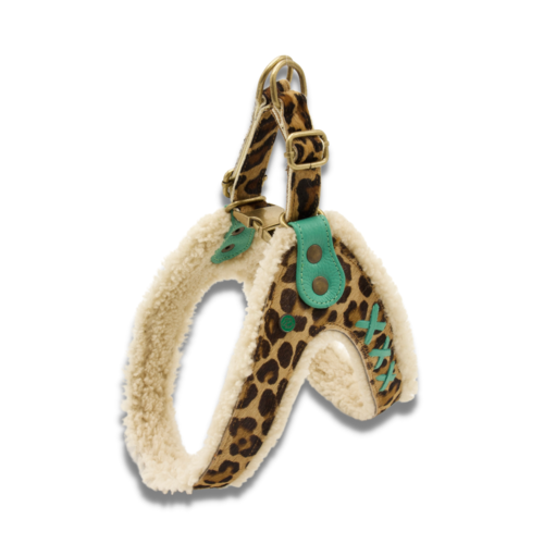 Amsterdam Panther Dog Harness