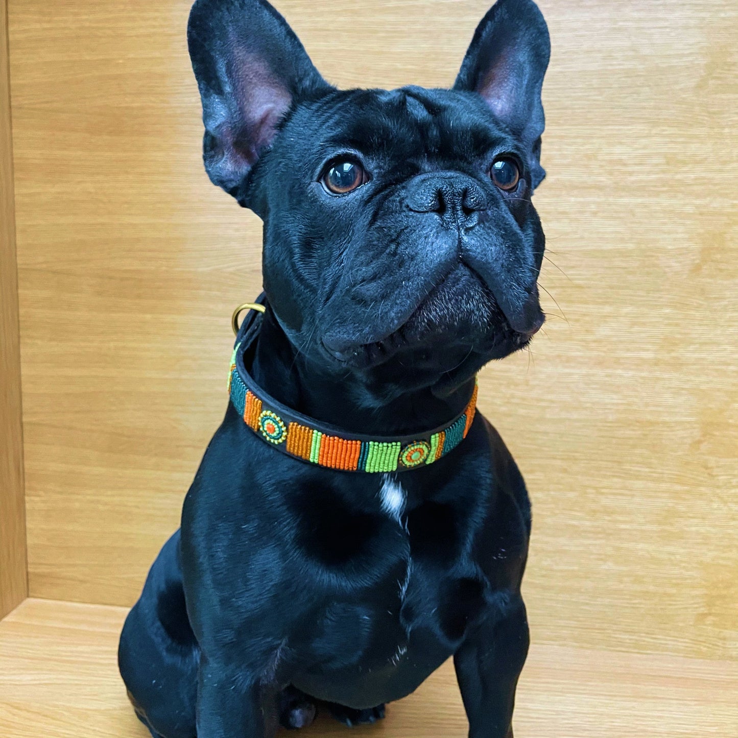 Beaded Dog Collar - Lucy