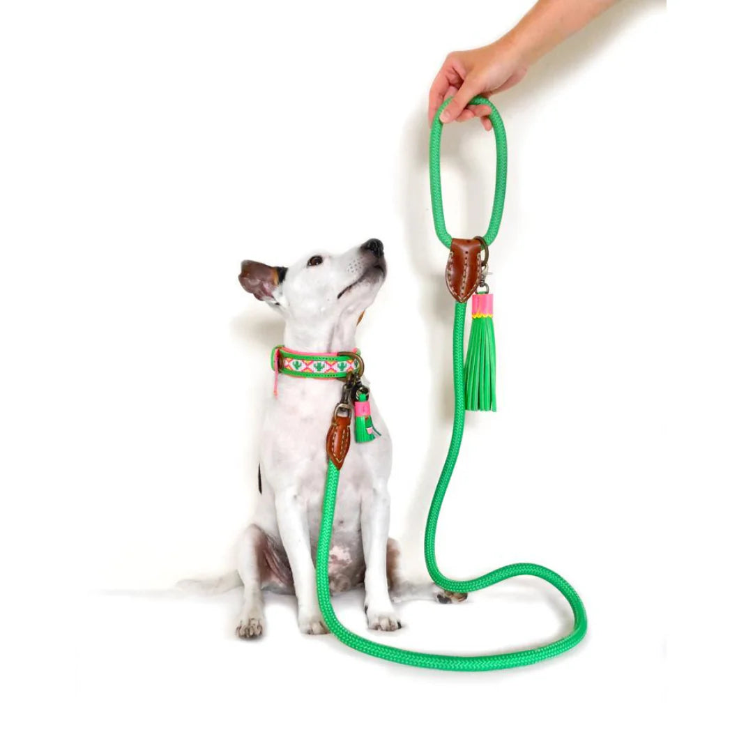 Apple Pie Dog Leash