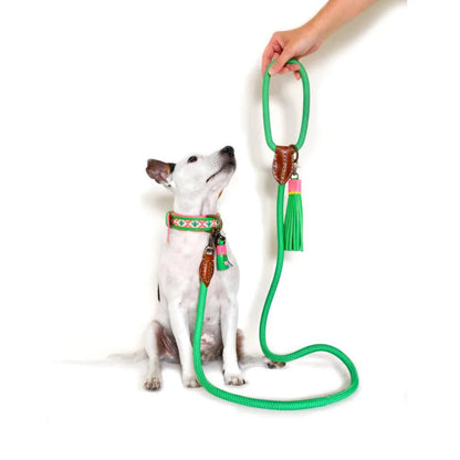 Apple Pie Dog Leash