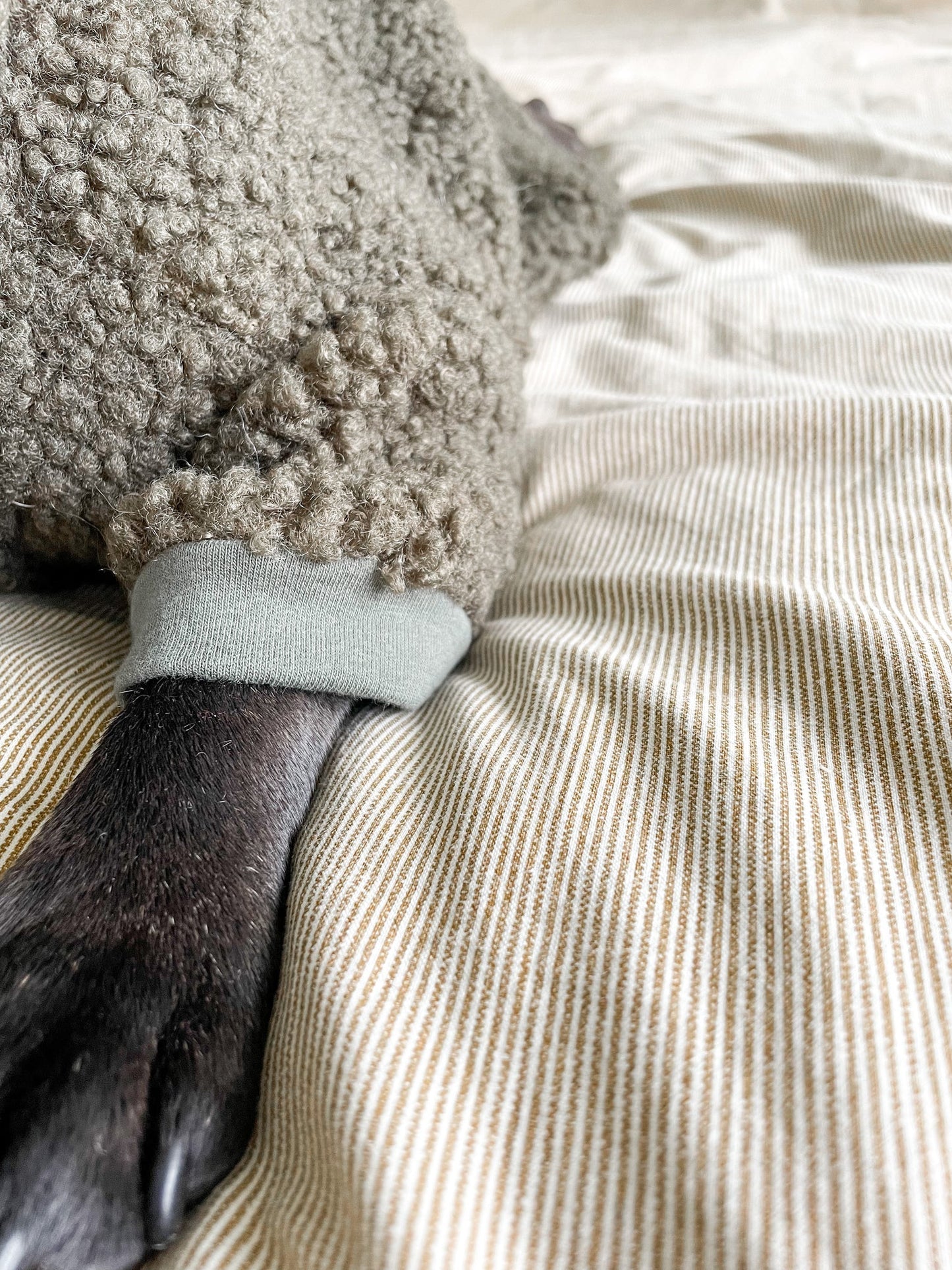 Dog Sweater - Khaki Teddy