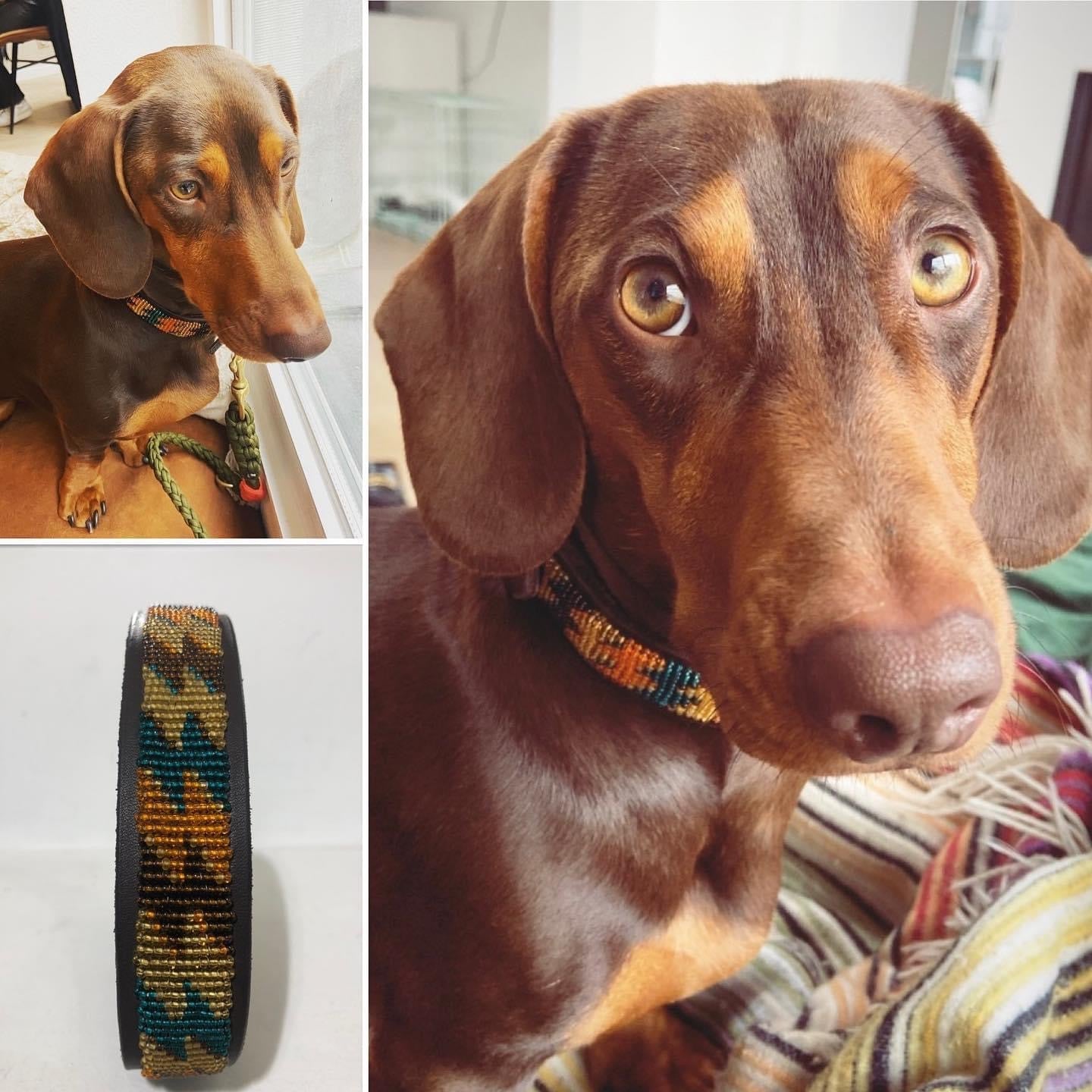 Beaded Dog Collar - Bolt