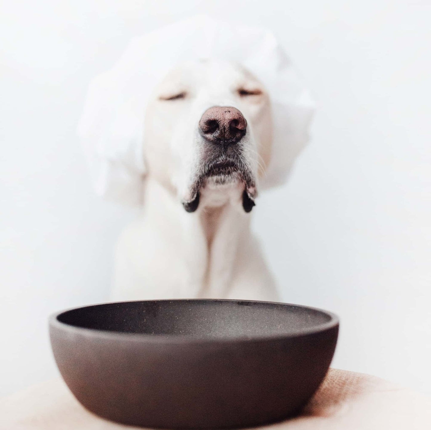 Bamboo Dog Bowl - Dark Grey