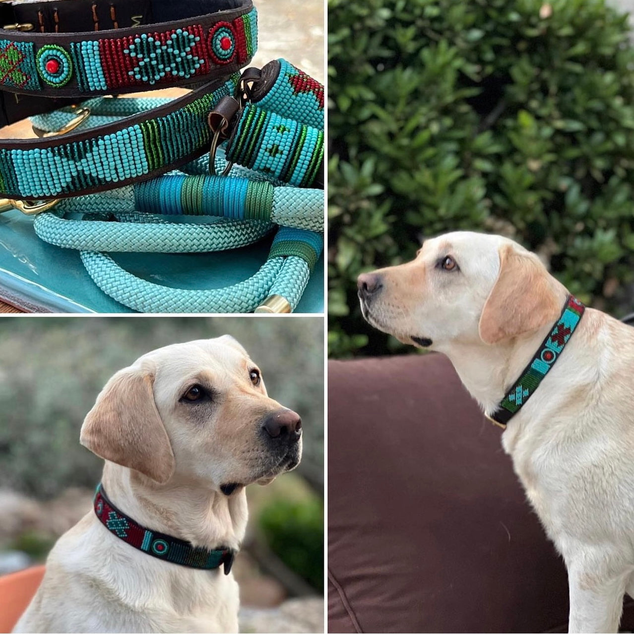 Beaded Dog Collar - Hatti