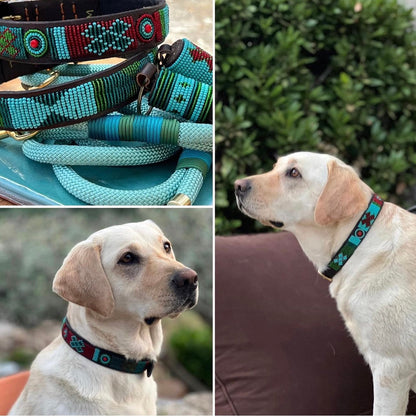 Beaded Dog Collar - Hatti