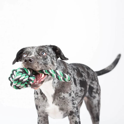 Schleuderball - Black/Grey/Green