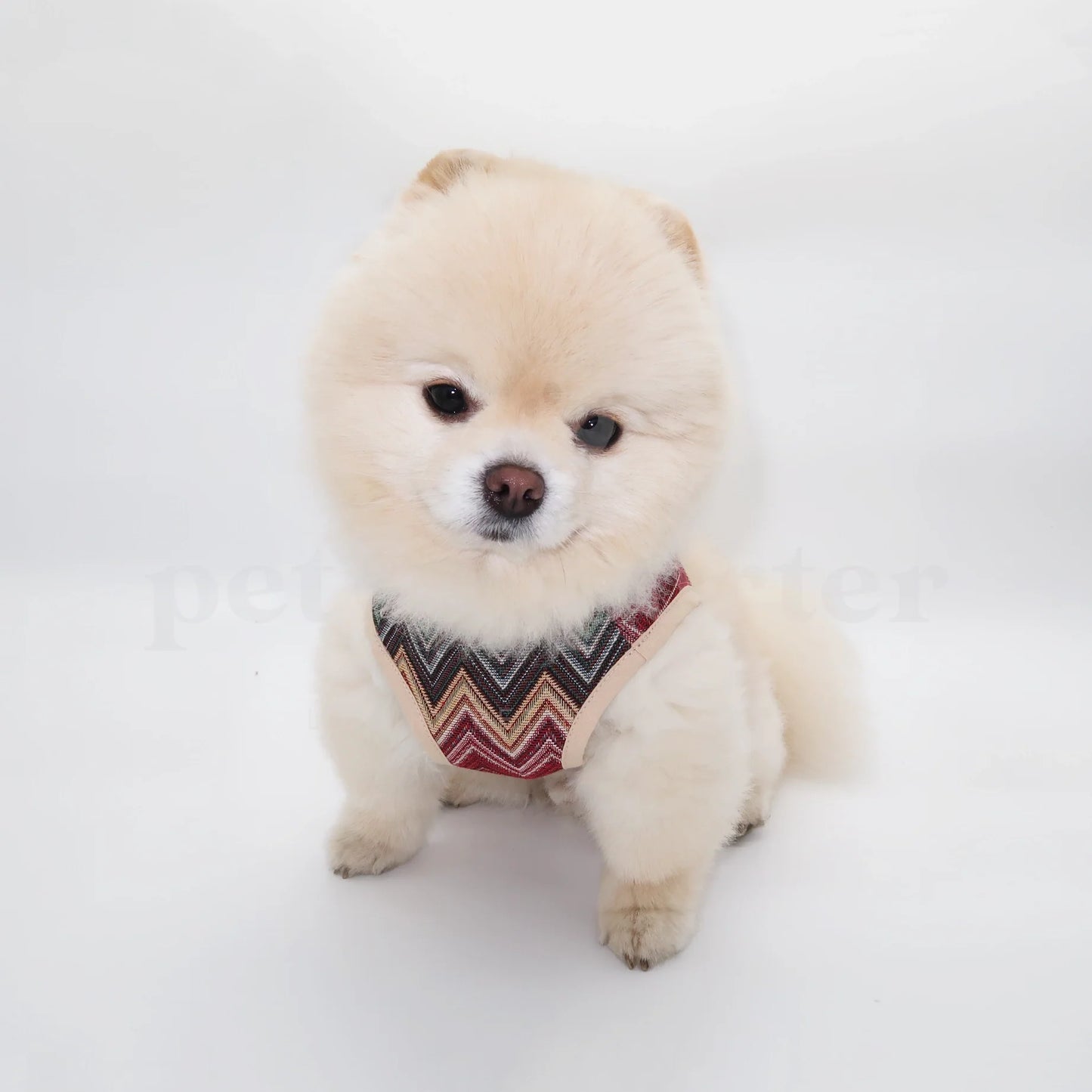 Dog Harness - Multicolor ZigZag