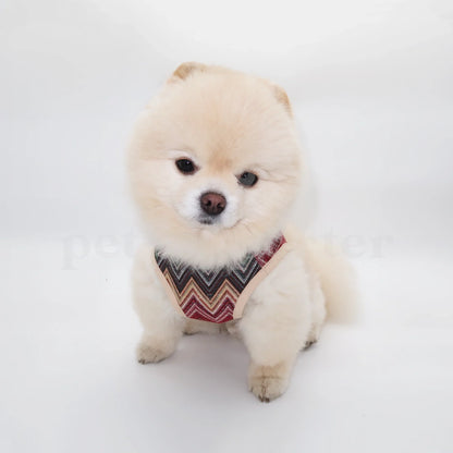 Dog Harness - Multicolor ZigZag