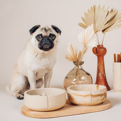 Slow Feeder Bowl - Camel Brown