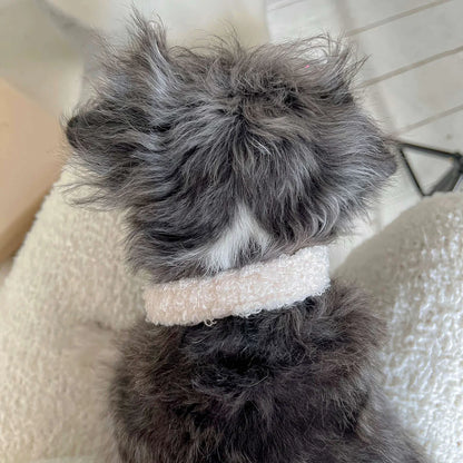 Collar Teddy - Cream