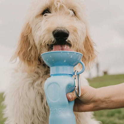 Travel Water Bottle - Sky Blue