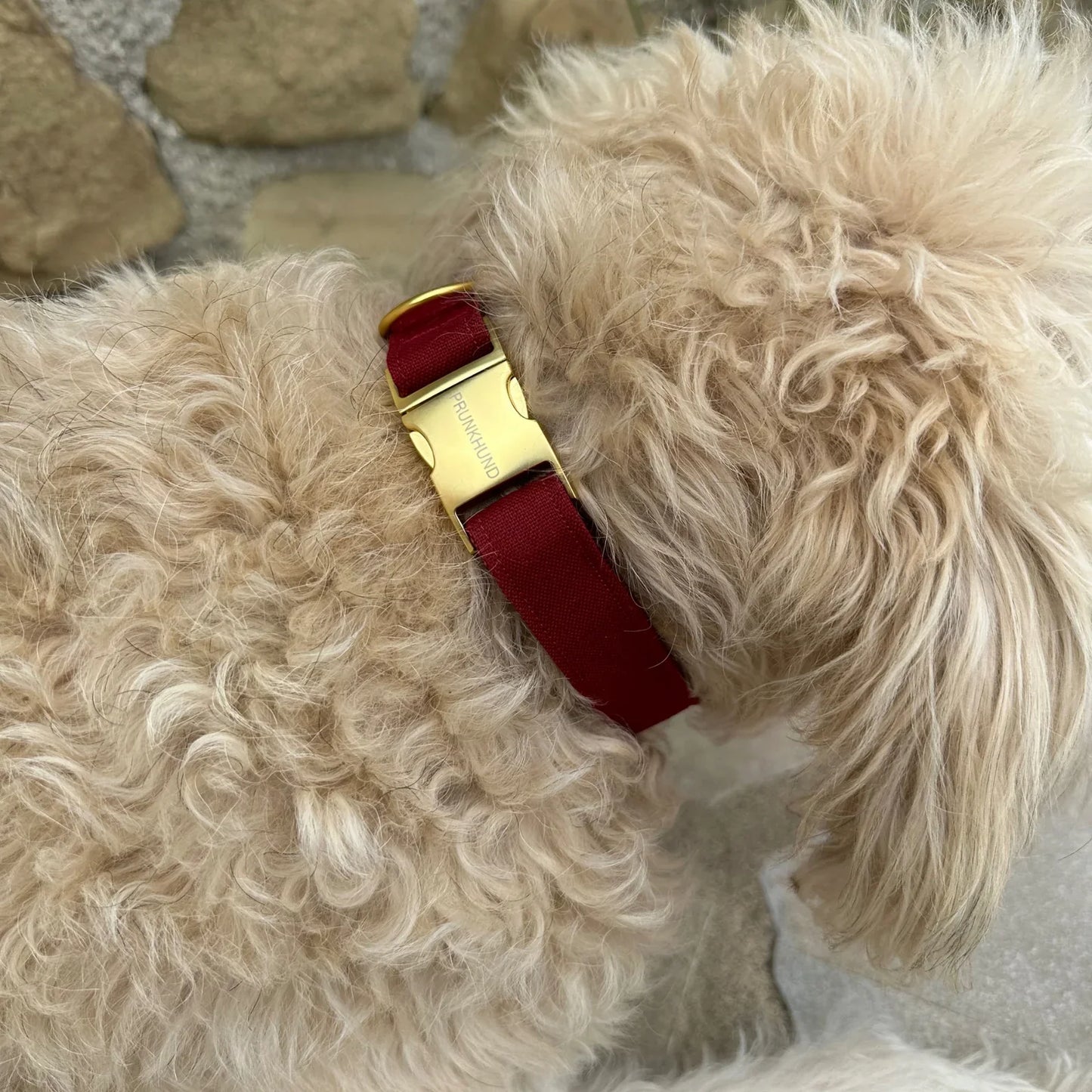 Collar Minimal - Wine