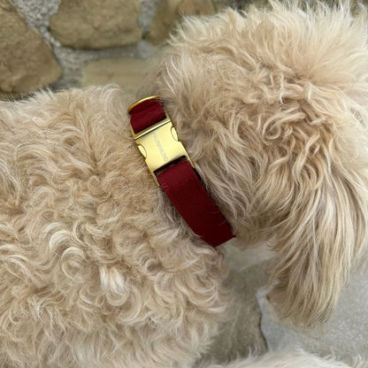 Collar Minimal - Wine