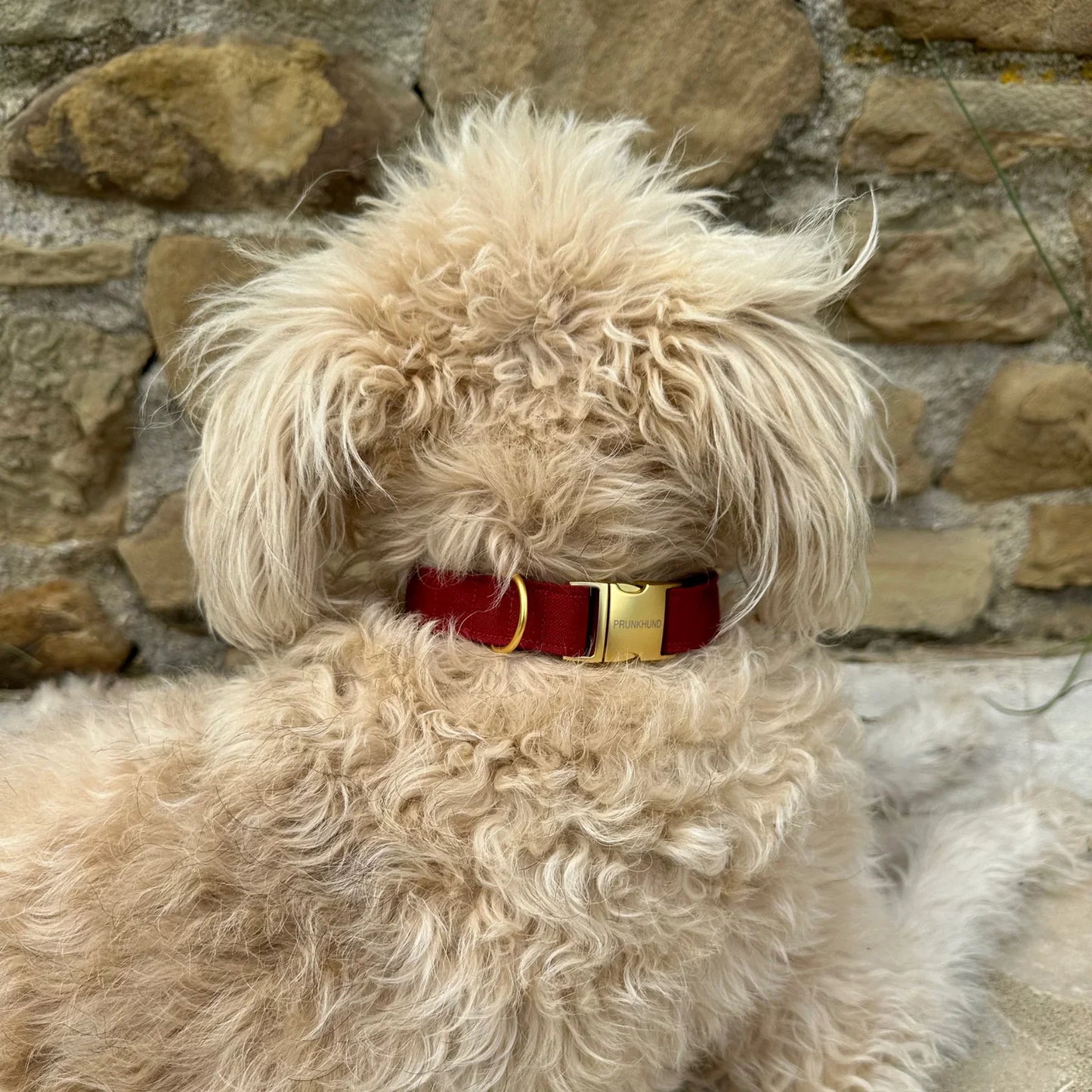 Collar Minimal - Wine